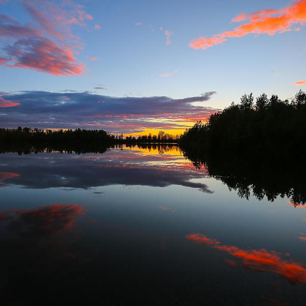 Sunset reflecting on calm lake with treeline silhouette and pink clouds.