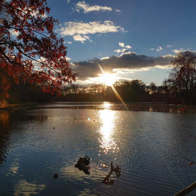 Sunset over a calm lake with autumn leaves and drifting clouds.