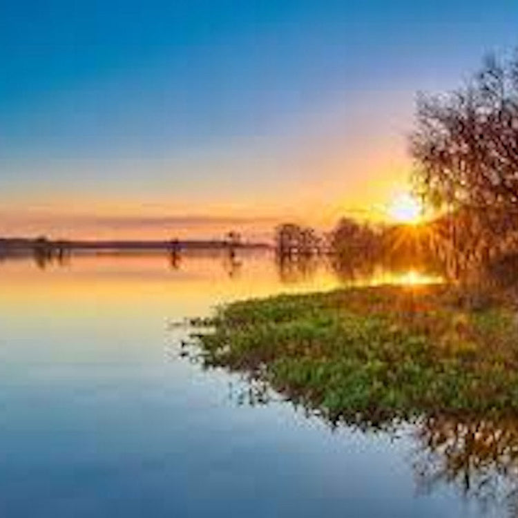 Sunset over calm lake with silhouetted trees and reflection on water