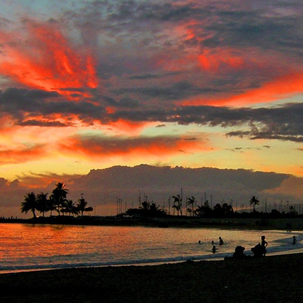 Sunset at the beach with silhouetted palm trees and people.