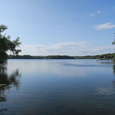 Tranquil lake with tree-lined shore under a blue sky with clouds.