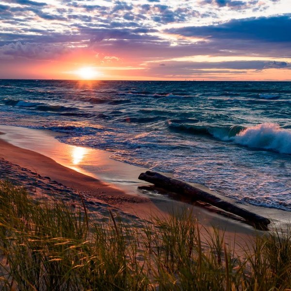 Sunset over beach with waves, driftwood, and tall grass.