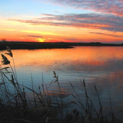 Sunset over a serene lake with reflected sky colors and grass silhouettes.