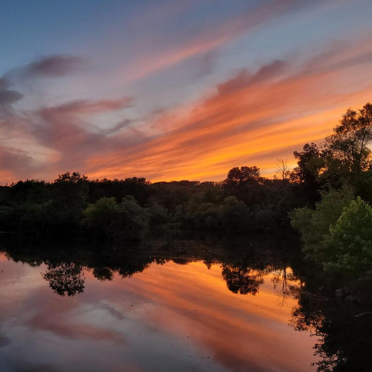 Sunset with orange sky over trees reflecting on water.