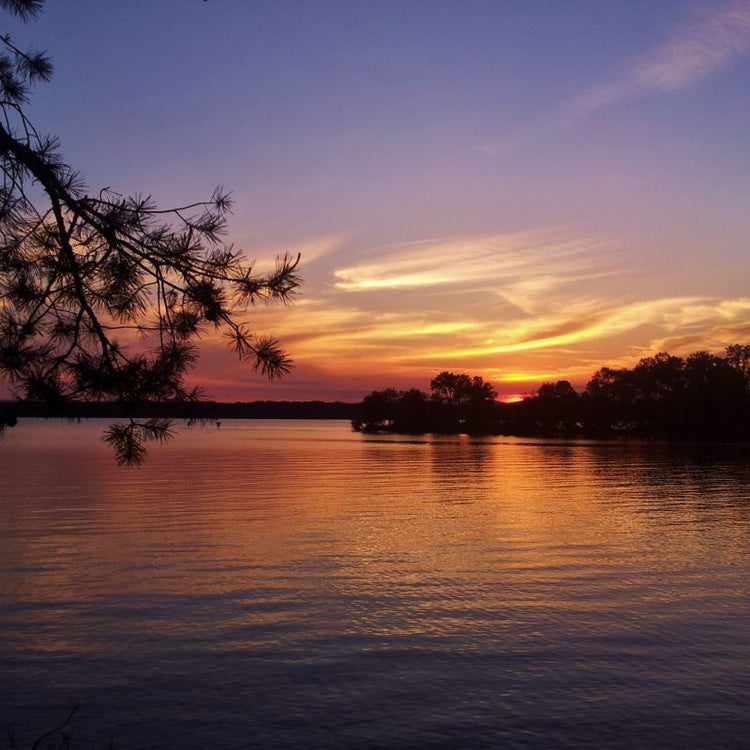 Sunset over lake with silhouette of trees and reflective water.