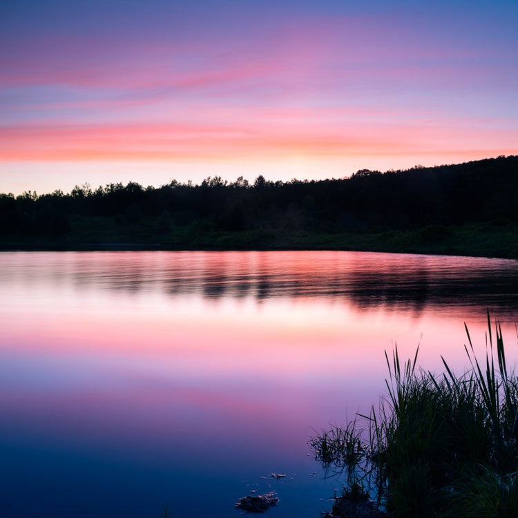 Tranquil lake at sunset with pink and blue sky reflections and silhouette of trees.