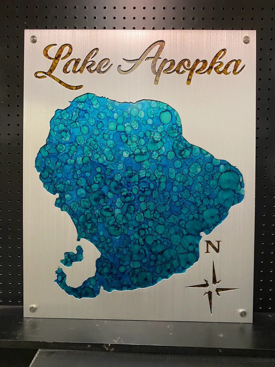 Lake Apopka metal map with blue pattern and compass rose, mounted on a perforated black background.